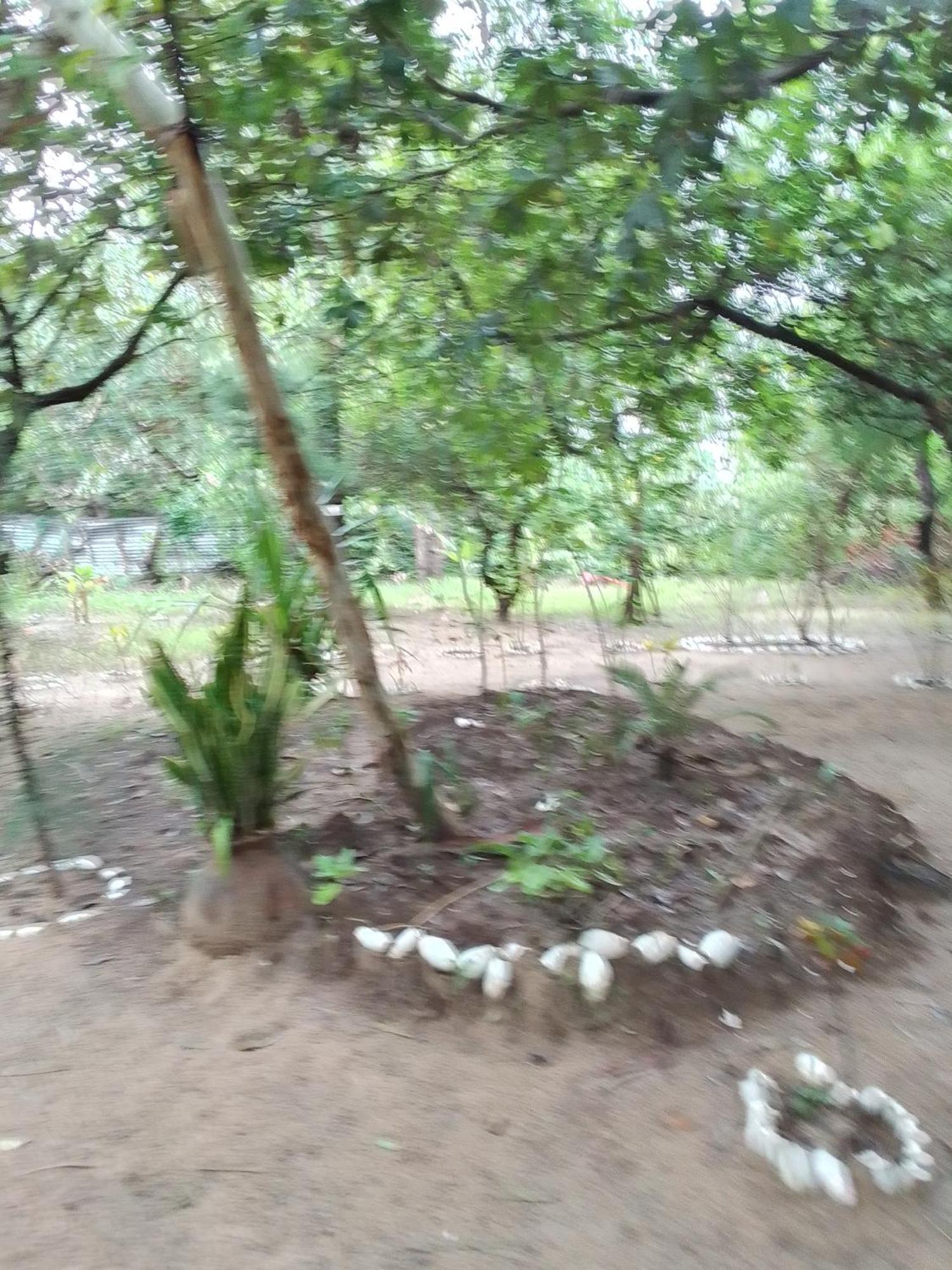 Little Baobab Bed and Breakfast Abémé Exterior foto
